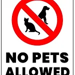 Apartman Erikzang - Cervinia In Out *