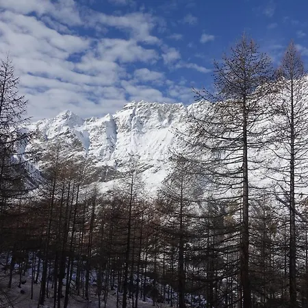 Cervinia In Out - Grande Ourse
