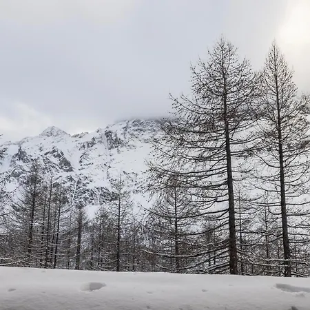 Cervinia Ski In Ski Out - Grande Ourse
